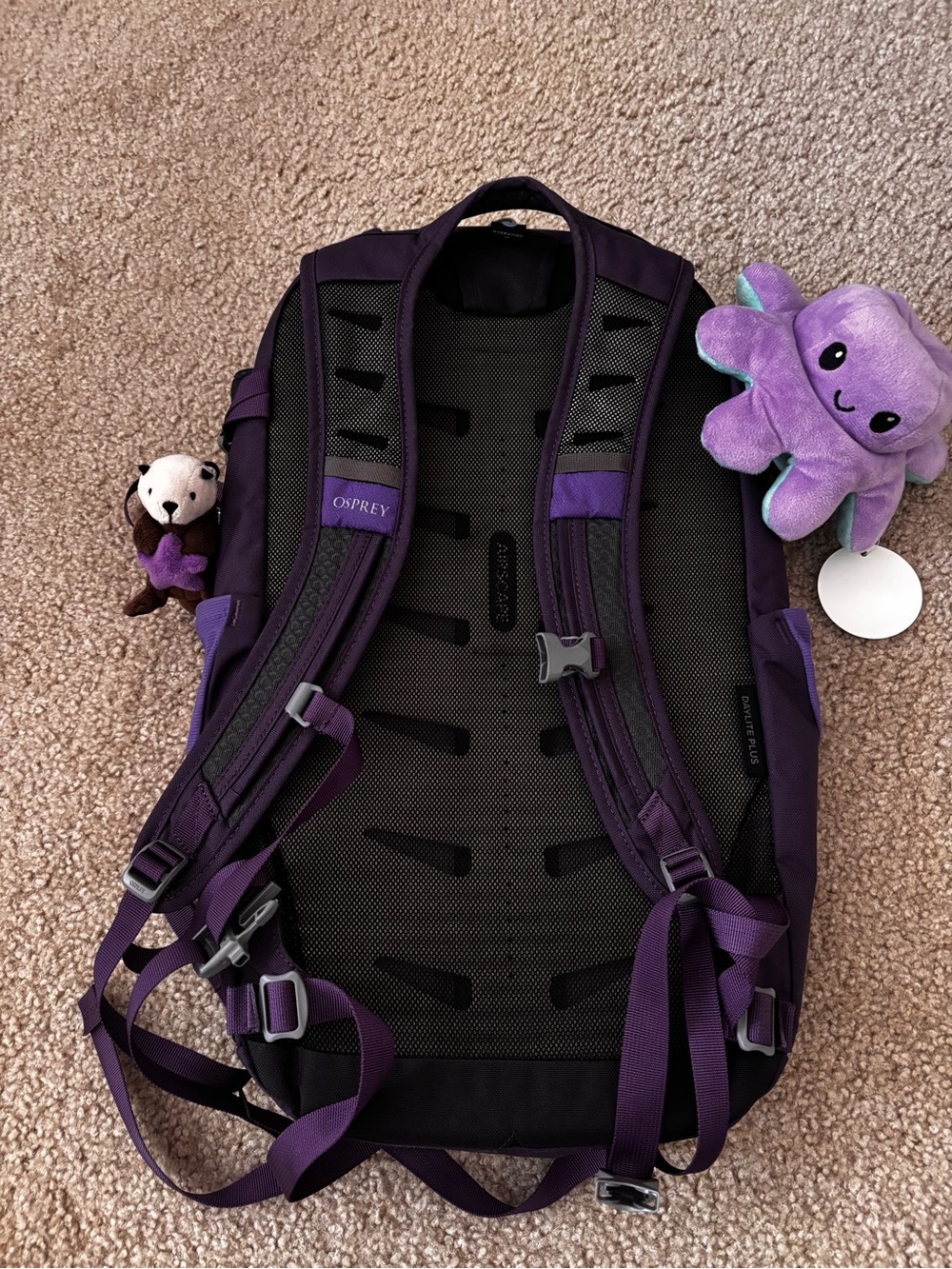OSPREY Purple Daylite Plus Backpack - Picture 5 of 9